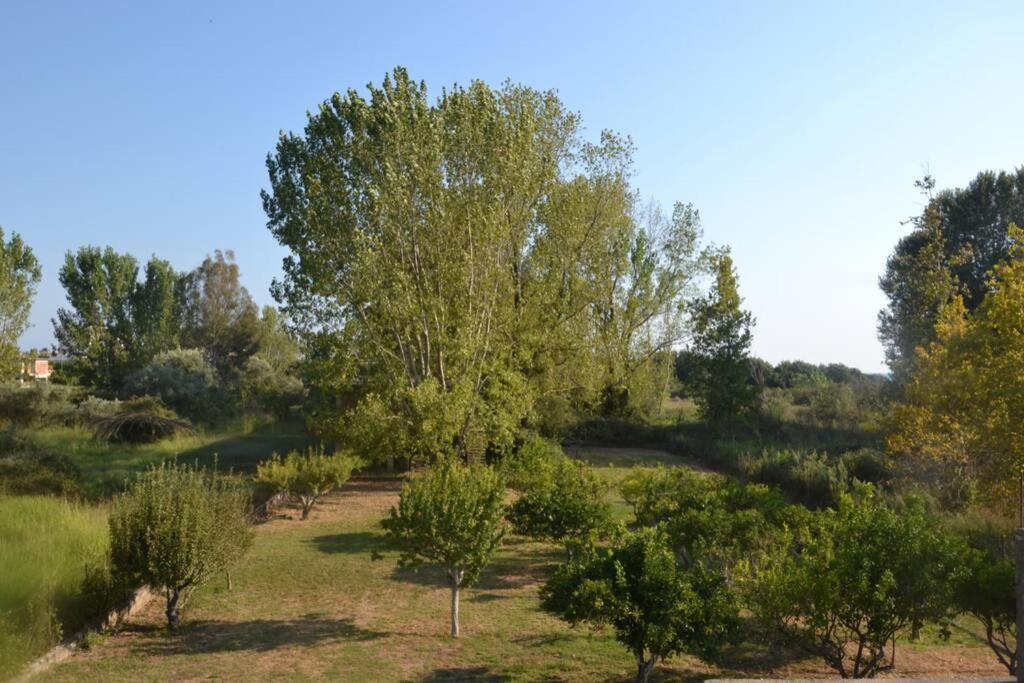 Beach House Into The Green! Preveza Eksteriør billede