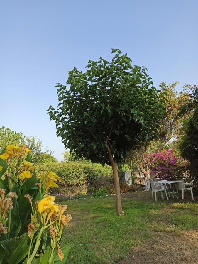 Beach House Into The Green! Preveza Eksteriør billede